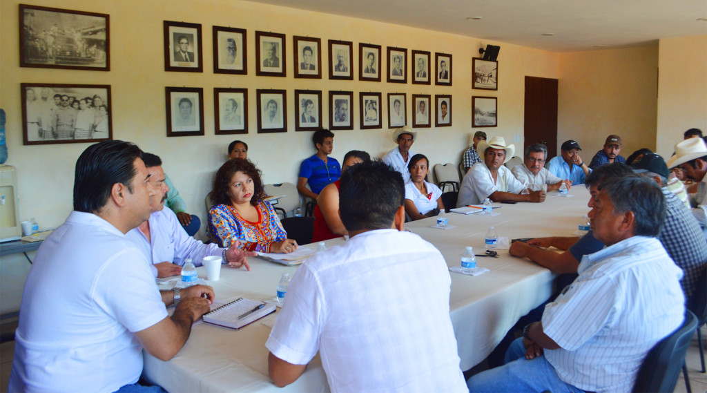 Entrega de fertilizante  (2)