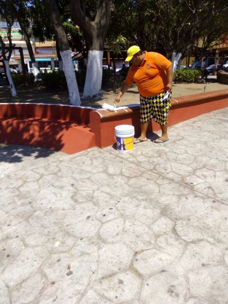 Mantenimiento plazas públicas (1)