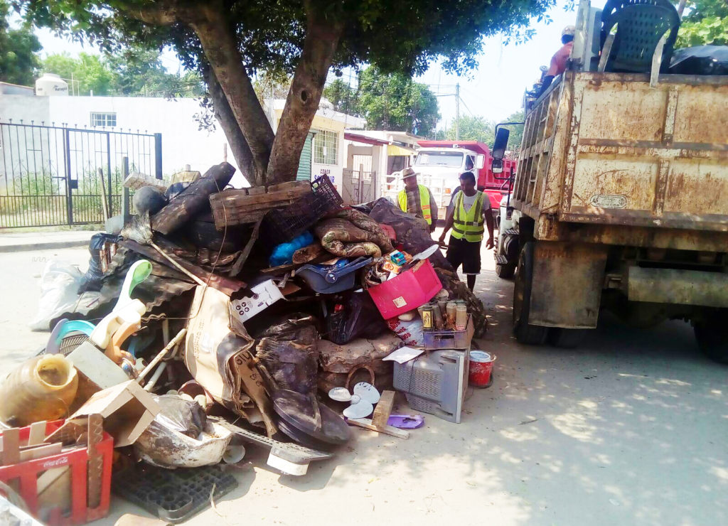 Descacharrización (1)