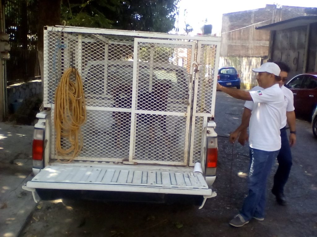 control aninmal rescata perros en el centro