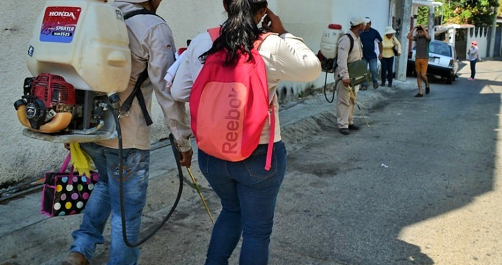 Vectores de Zihuatanejo fracasa en su programa para combatir moscos contra el dengue, chikongunya y Sika