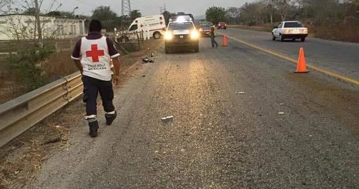 Caballos que deambulan en la carretera federal provocan aparatoso accidente en el municipio de Tecpan