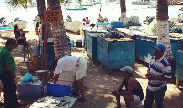 Pescadores esperan ayuda del gobierno federal para dotarlos de mejor infraestructura ribereña