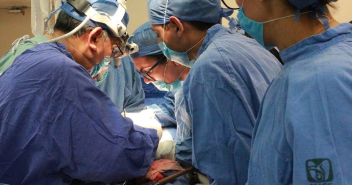 Dos años, tiempo mínimo de espera para un trasplante: IMSS