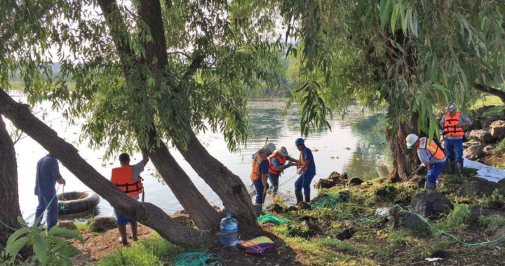 Entre 30 y 40% baja captación de agua en manantiales en Michoacán 