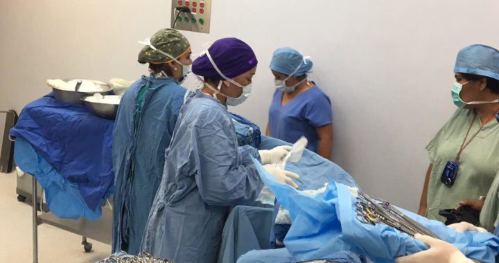 EN GUERRERO, LA DÉCIMA PROCURACIÓN DE ÓRGANOS Y TEJIDOS EN EL AÑO: SSG