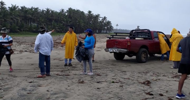 Asociación ambientalista realiza recolección de basura en playa de la costa michoacana