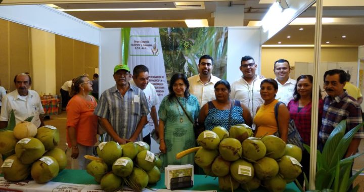 Con gran éxito culmina la Expo Feria Nacional del Coco en Acapulco 