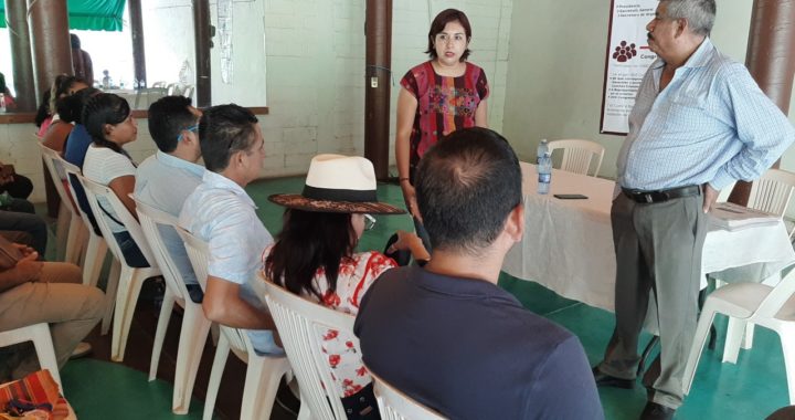 En Morena todos son bienvenidos pero hay reglas para ser candidatos: Nora Velázquez 