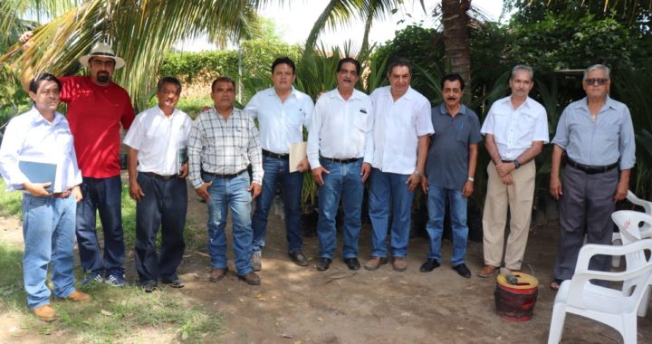 Imparten taller a campesinos sobre la utilización de trampas para el mayate prieto que ataca las palmas 