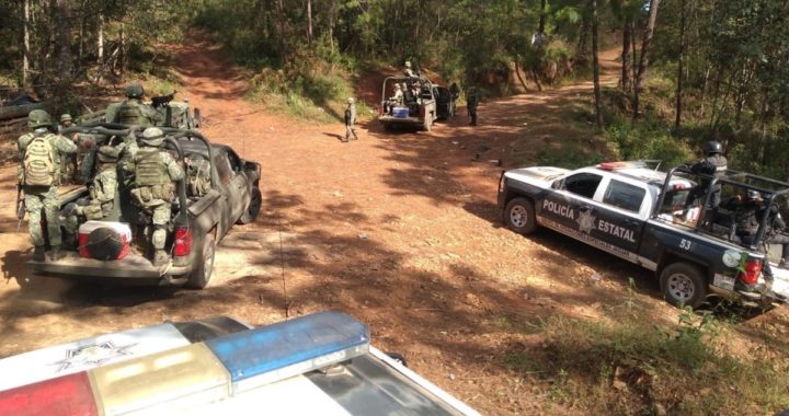 ASEGURAN POLICÍA ESTATAL, GRUPO “JAGUAR” Y EJÉRCITO MEXICANO EN EL MAMEYAL, MUNICIPIO DE PETATLÁN, ARMAMENTO DE USO EXCLUSIVO DE LAS FUERZAS ARMADAS Y UN VEHÍCULO CON REPORTE DE ROBO