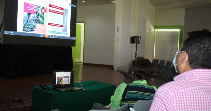 EN GUERRERO ES PRIORIDAD LA PROTECCIÓN A LA VIDA: MERCEDES CALVO