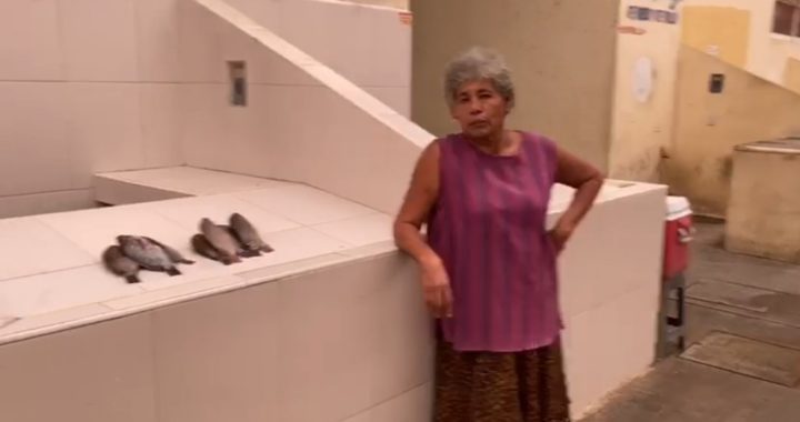 Se quejan comerciantes por bajas ventas de pescados en el mercado de Coyuca de Benítez 