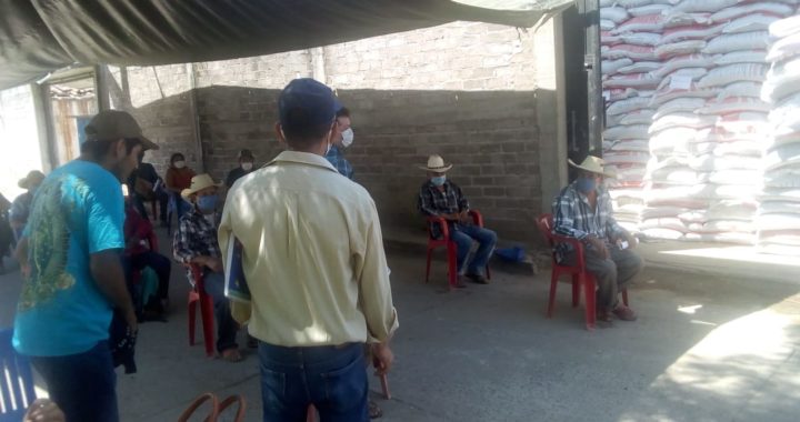 AVANZA EN GUERRERO ENTREGA DEL FERTILIZANTE A PRODUCTORES DE LAS SIETE REGIONES: SAGADEGRO