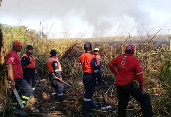 FUEGO, HUMO Y CONTAMINACIÓN MANTIENEN EN RIESGO A CERCA DE 200 MIL HABITANTES DE PETATLAN Y ZIHUATANEJO.