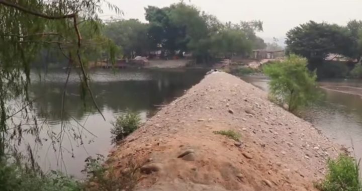 En riesgo de perderse cientos de hectáreas de plátano por sequía del río de Tecpan
