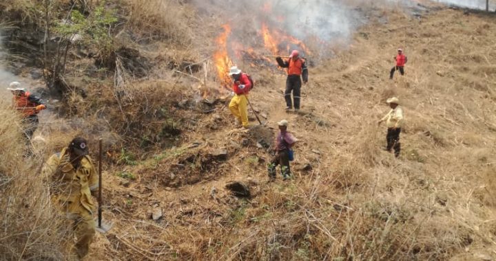 INSTA EL GOBERNADOR A EVITAR INCENDIOS FORESTALES QUE AFECTEN EL MEDIO AMBIENTE Y LA SALUD DE LOS GUERRERENSES