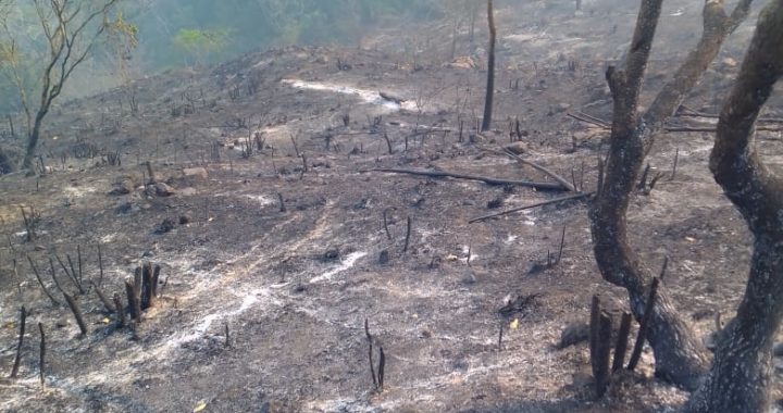 Personal de Protección Civil, policía municipal y Ejército Mexicano logran apagar dos incendios forestales en la Sierra de Petatlan
