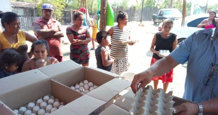 Entrega casilleros de huevos gratis, regidor Gilberto Vargas a familias pobres del municipio de Coyuca de Benítez 