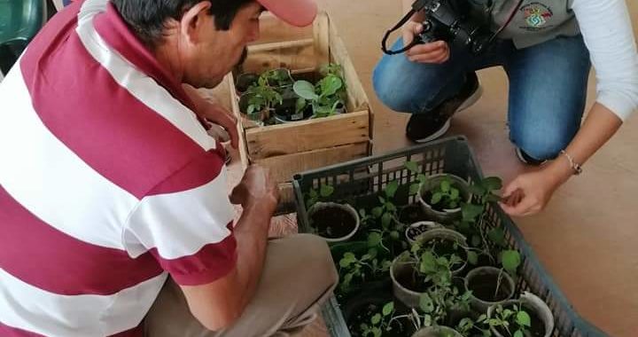 Impulsan en la sierra de Tecpan proyecto de autosuficiencia alimentaria 