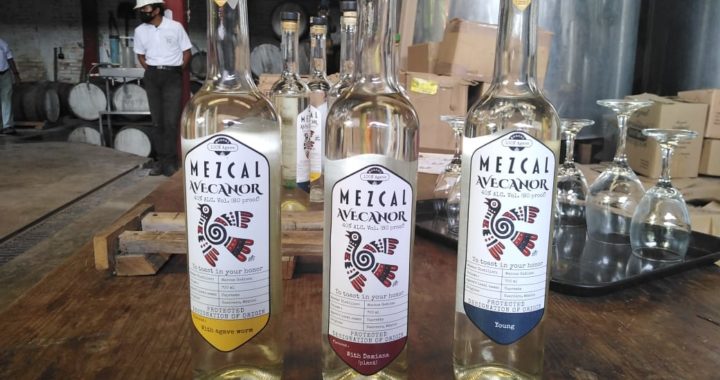 INCURSIONA EMPRESA MEZCALERA DE GUERRERO EN EL MERCADO DE EUROPA: SEFODECO