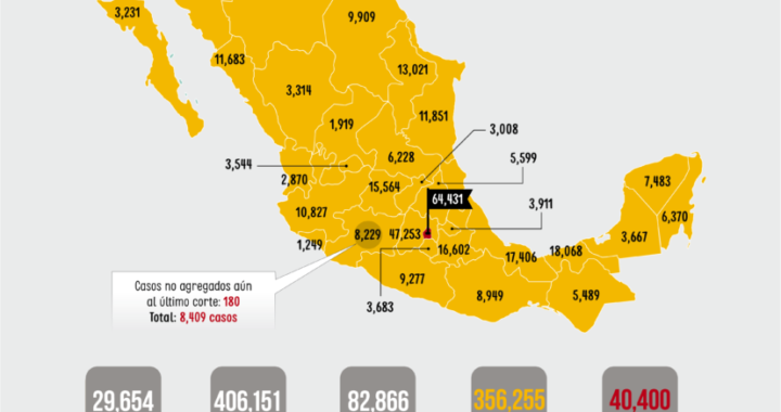 Epidemia por COVID-19 se reduce en Michoacán y otros 5 estados, señala López-Gatell