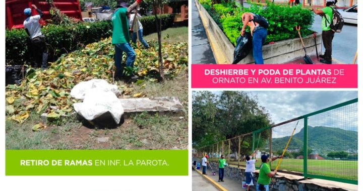 Labores del ayuntamiento en Zihuatanejo