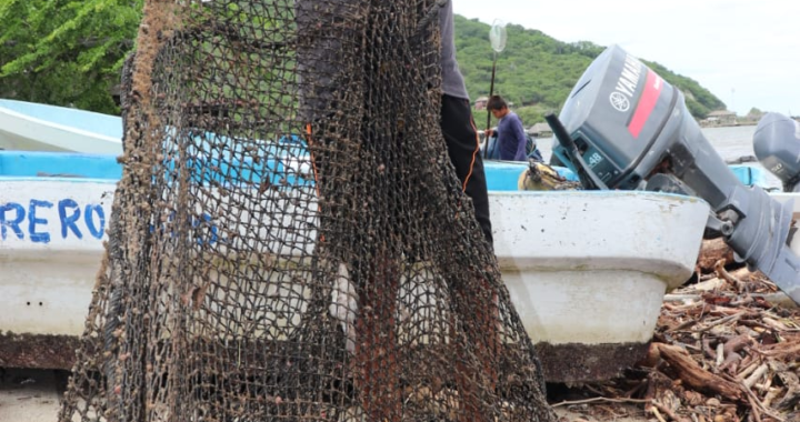 Diez toneladas de huachinango se perdieron en vivero de Puerto Vicente Guerrero por «Hernán», informan pescadores 