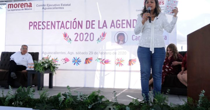 Luchan por dirigencia nacional de Morena como priistas: Carol Arriaga