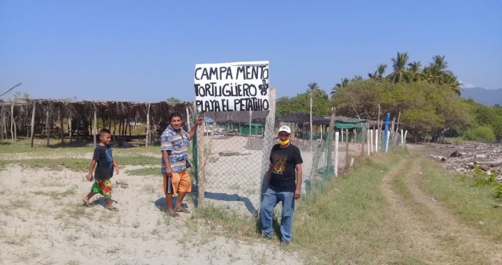 Gobierno de La Unión se suma a la protección de la tortuga Marina