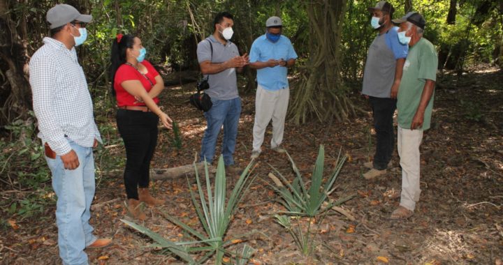 LA CONSERVACIÓN DE MANGLARES DEL MUNICIPIO DE PETATLÁN BENEFICIARÁ  A TODOS: CHRISTOPHER CÁRDENAS