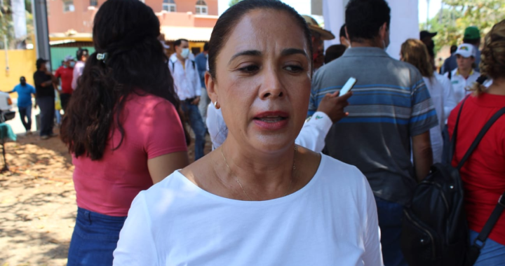 Pide Graciela González un voto razonado para diputada por el distrito local 11