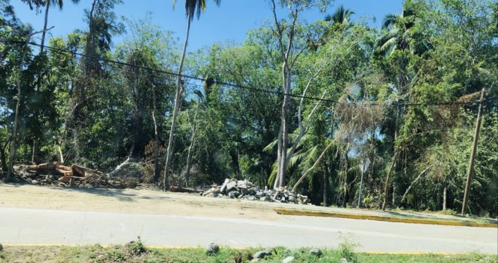 Quitan paradero de autobuses pero invaden predios de equipamiento urbano en playa la ropa