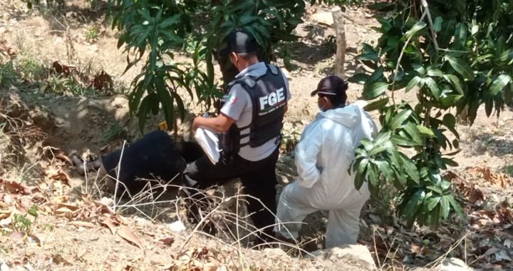 Encuentran hombre muerto en la sierra de Atoyac de Álvarez