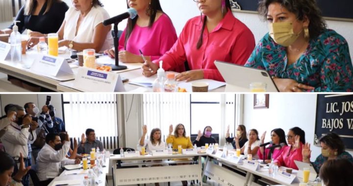 BUSCA COMISIÓN DE REFORMAS LEGISLATIVAS Y POLÍTICA PÚBLICA ARMONIZAR LEYES LOCALES CON LAS FEDERALES PARA UNA VIDA LIBRE DE VIOLENCIA DE LAS MUJERES