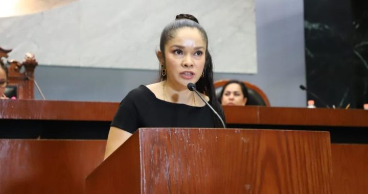 PROPONE DIPUTADA EL RECONOCIMIENTO DE LA CULTURA COMO UN DERECHO HUMANO.