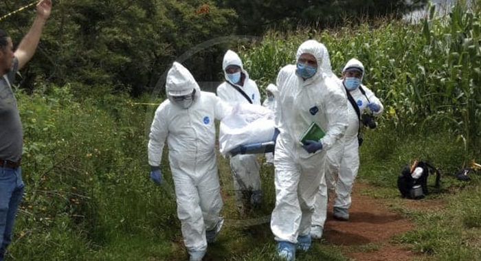 Hallan otros cuatro cuerpos en fosas clandestinas en Villamar; suman 10 cadáveres