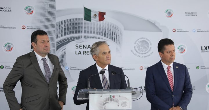 RECONOCE GPPRD LA SENTENCIA DICTADA EN LA ACCIÓN DE INCONSTITUCIONALIDAD PROMOVIDA POR EL BLOQUE DE CONTENCIÓN SOBRE PROPAGANDA GUBERNAMENTAL