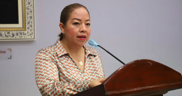 COMISIÓN DE PROTECCIÓN CIVIL DEL CONGRESO PROYECTA MAYOR APOYO A LAS UNIDADES MUNICIPALES Y CAPACITACIÓN EN LA MATERIA A PADRES Y MADRES DE FAMILIA