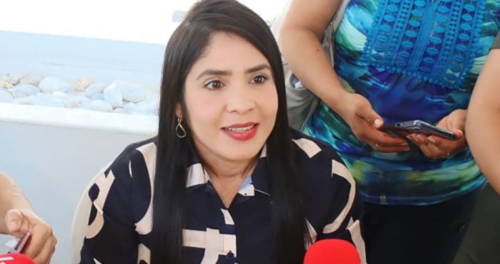 EN MES Y MEDIO EL CONGRESO ESTARÁ DESIGNANDO A TITULARES DE LOS ÓRGANOS DE CONTROL Y COMISIONADOS DEL ITAIGRO, ADELANTA LA DIPUTADA YOLOCZIN DOMÍNGUEZ