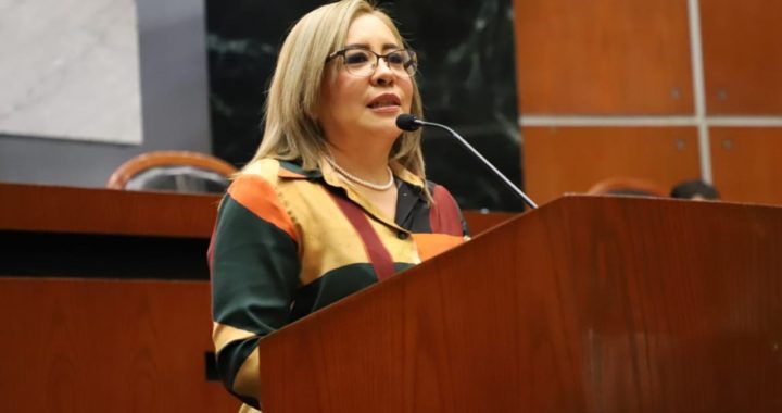 PROPONEN INCLUIR LA “VIOLENCIA POLÍTICA” EN LA LEY DE ACCESO DE LAS MUJERES A UNA VIDA LIBRE DE VIOLENCIA