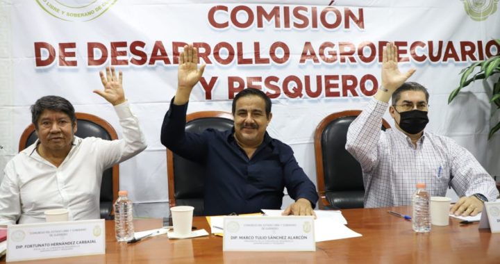 APRUEBAN EN COMISIÓN INICIATIVA PARA EL IMPULSO DE LA PESCA EN GUERRERO