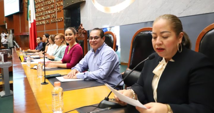 ES URGENTE REFORZAR EL MARCO LEGAL Y HACERLO ACORDE A LA REALIDAD DE LAS PERSONAS CON DISCAPACIDAD: DIPUTADAS