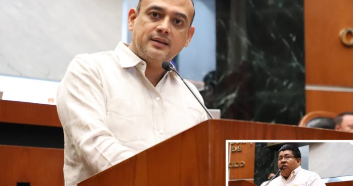 APRUEBA EL CONGRESO INCORPORAR EN LA ENSEÑANZA BASICA LA MATERIA DE NUTRICIÓN Y LA ACTIVACIÓN FÍSICA