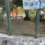 Desconocidos rocian con aceite quemado las gradas de la cancha de basquetbol “Solidaridad” en el centro de Zihuatanejo