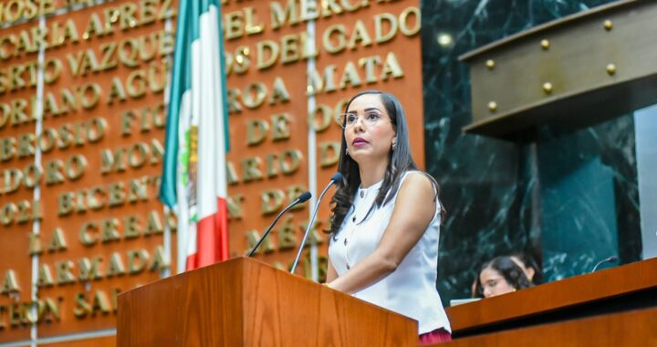 PROPONE DIPUTADA FORTALECER MARCO JURÍDICO CONTRA VIOLENCIA FAMILIAR