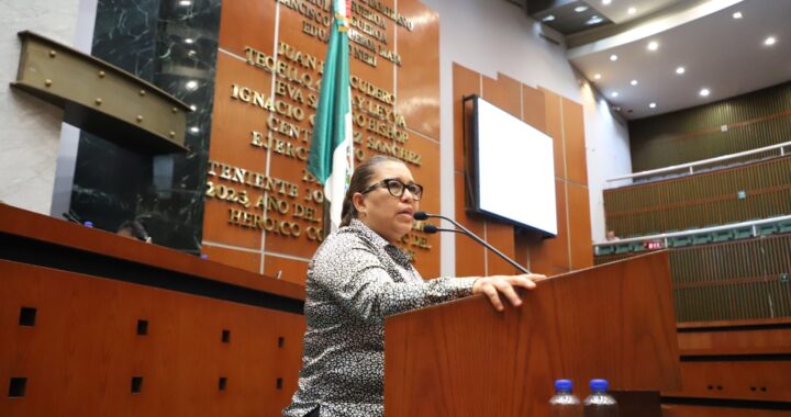 PLANTEA DIPUTADA EXHORTAR A LA CFE Y A LA CNE APLICAR TARIFA 1F Y MEJORAR RED ELÉCTRICA EN LA COSTA CHICA