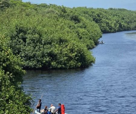 Niño de 9 años cayo de un puente a estero y falleció tras ser atacado por cocodrilos en Lázaro Cárdenas